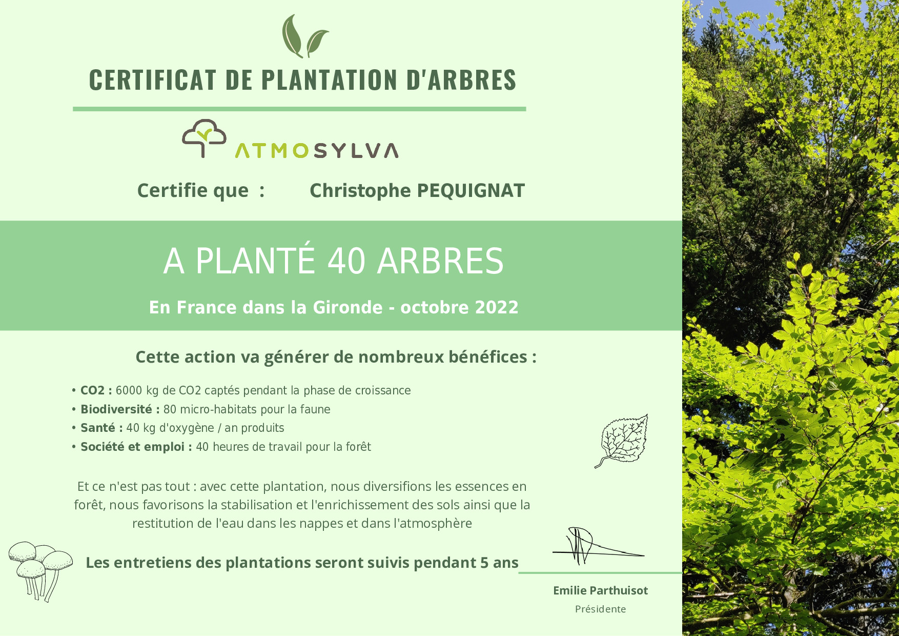 40 arbres plantés